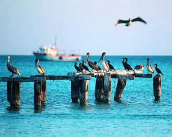 Wayak Holbox Hotel Bagian luar foto